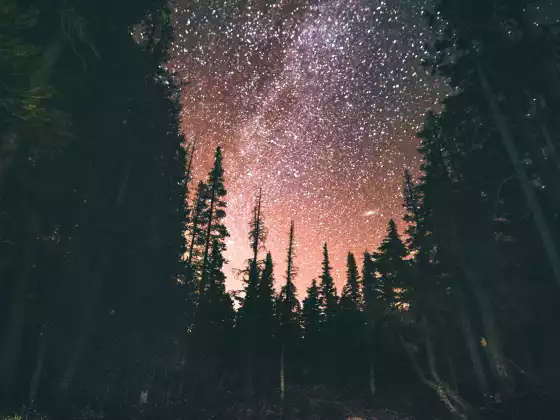 優雅的引導課程：宇宙會考驗我們嗎？