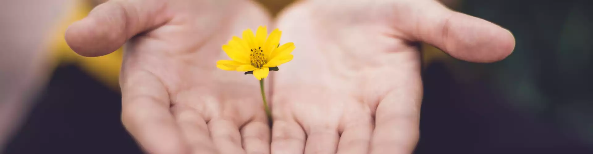 Reiki Tahap 1 - Online Class by Jamie Butler