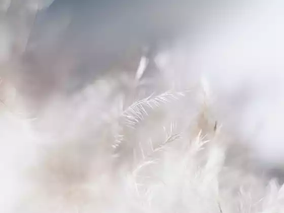 उच्च चेतना चक्र के लिए रिमोट हीलिंग - बहुभाषी
