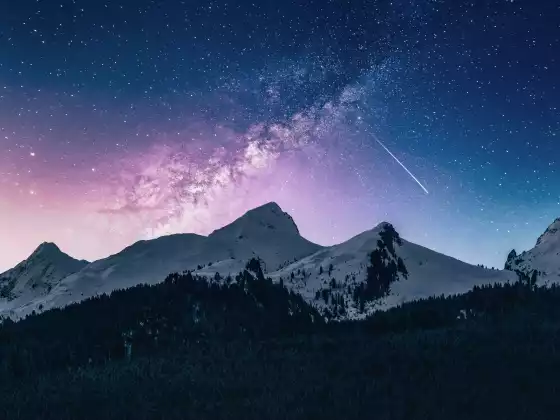 谁是天狼星星际种子？