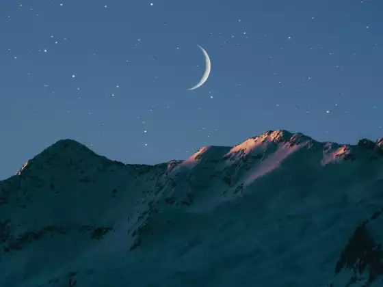什么是星际种子？