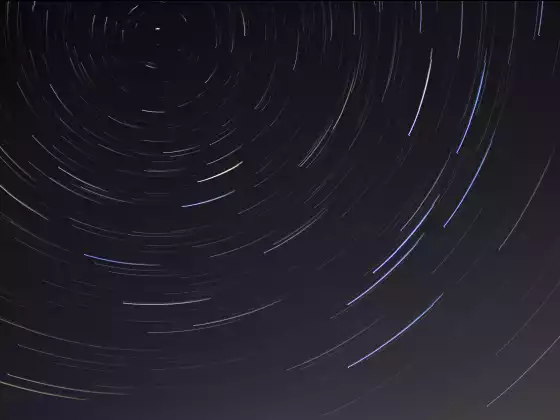 多维存有，被遗忘者