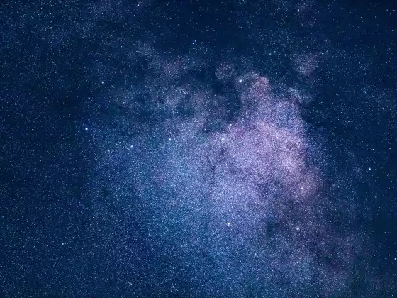 星際種子系列