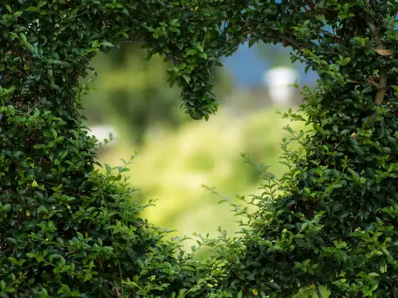 Yoga Prānāyāma para abrir el chakra del corazón