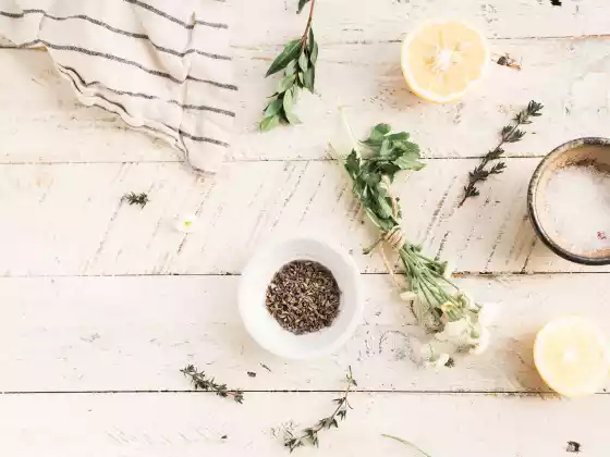 El poder de la medicina vegetal: Introducción a las ceremonias