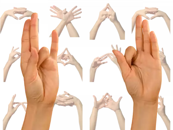 Mystical Mudras: Isang Buwanang Reiki/Yoga Fusion Workshop Series