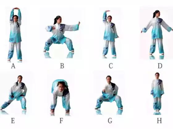 25 minutong Qigong 8 Silk Brocade