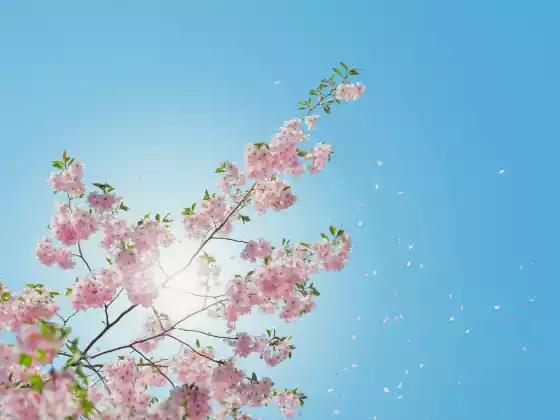 Energy Healing for Women's health 