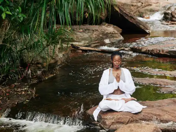 Gassho Gateway: Heart-Centered Meditation para sa Reiki Practitioner