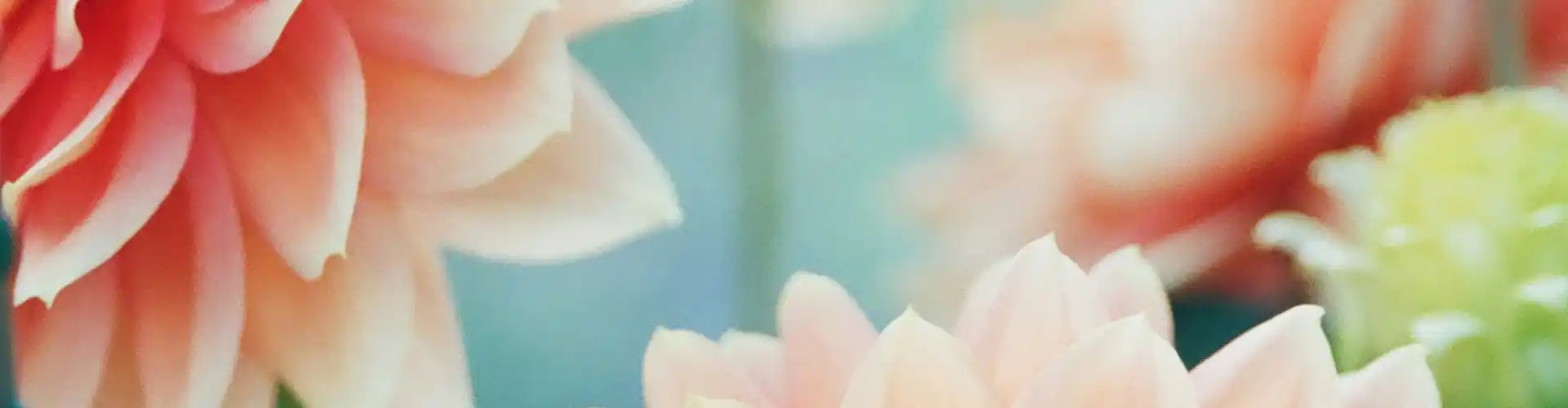 Curación remota de Reiki durante 33 minutos - Online Class by Jamie Butler
