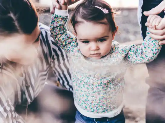 Seminario web 4: La perspectiva de la fuente de la paternidad altamente consciente