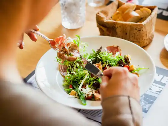 Nutrisi Tingkat Lanjut & Teori Diet