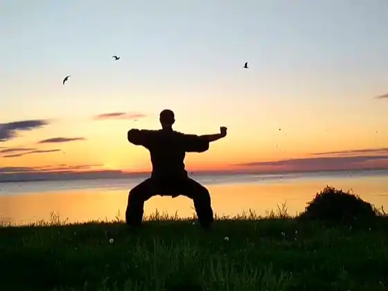 1 oras na Qigong na may 8 Silk Brocade 