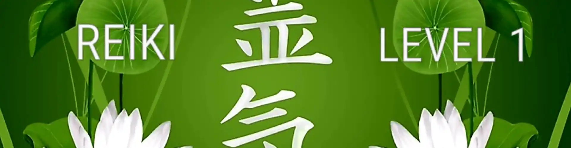 Reiki Niveau 1 - Online Class by Cassaundra Paolini