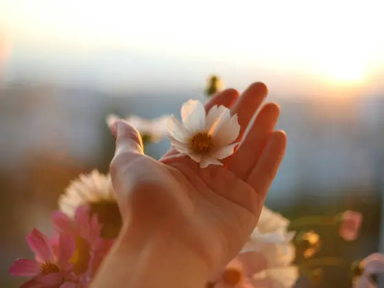 Energy Healing for Self Love