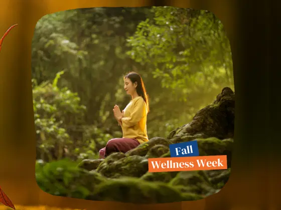 শরতের আলিঙ্গন: একটি শরৎ বিষুব রেইকি ধ্যান