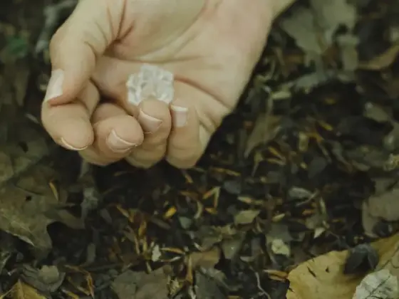 Remote Reiki Healing - Autumn Equinox at Eclipse Season